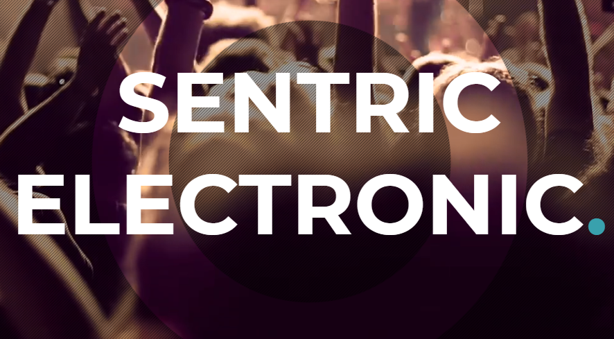 Sentric Electronic будет обслуживать «тысячи продюсеров, у которых нет издательства»