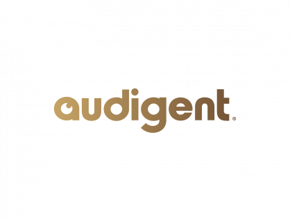Биг дата стартап Audigent привлек $6,7 млн финансирования