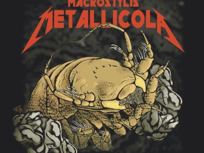 В честь Metallica названо новое морское существо