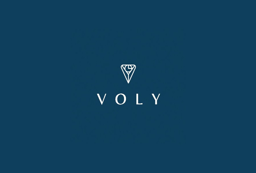 Британский стартап Voly запустит финансовый сервис, ориентированный на музыку