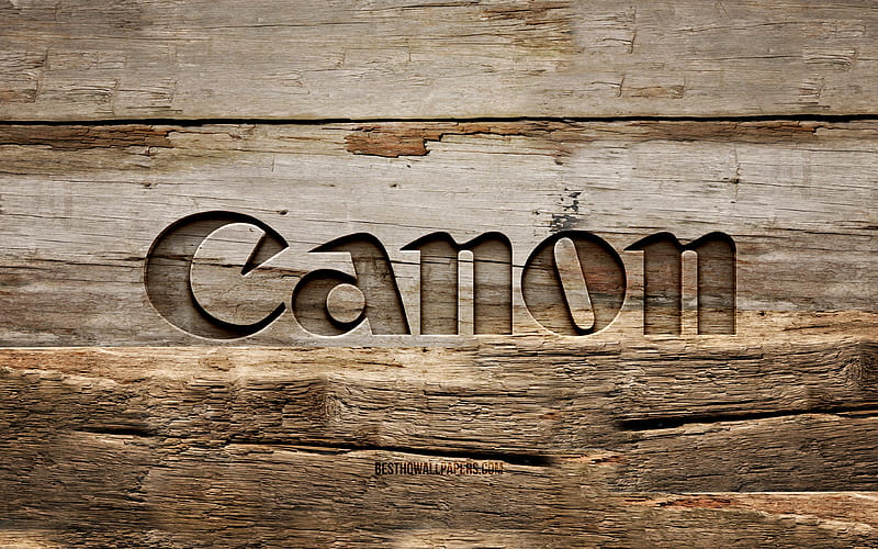 Canon пробует себя в функциональной музыке с альбомом «Auto Focus»