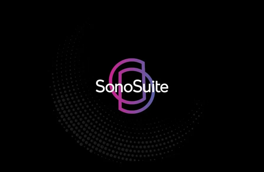 Платформа распространения музыки SonoSuite берет на себя роль миноритарного акционера Dinastía, чтобы стимулировать рост